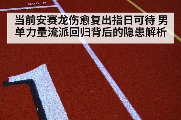 当前安赛龙伤愈复出指日可待 男单力量流派回归背后的隐患解析