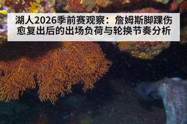 湖人2026季前赛观察：詹姆斯脚踝伤愈复出后的出场负荷与轮换节奏分析